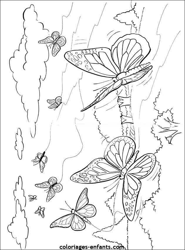 coloriage de papillons sur coloriages-enfants.com