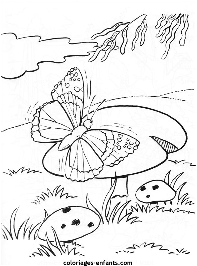 coloriage de papillons sur coloriages-enfants.com