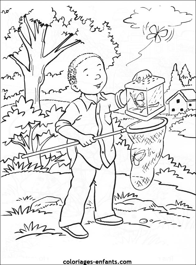 coloriage de papillons sur coloriages-enfants.com