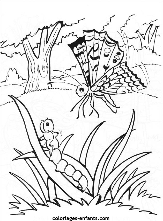 coloriage de papillons sur coloriages-enfants.com