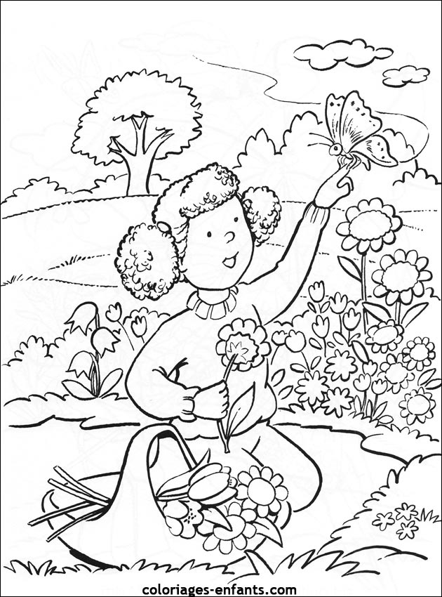 coloriage de papillons sur coloriages-enfants.com