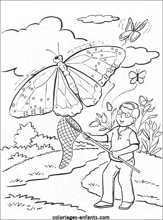 coloriage de papillons sur coloriages-enfants.com