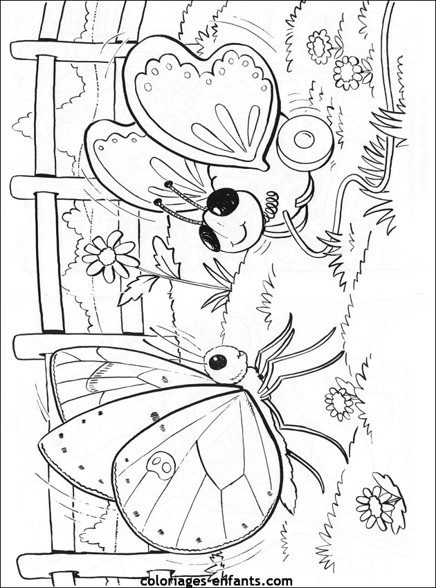 coloriage de papillons sur coloriages-enfants.com