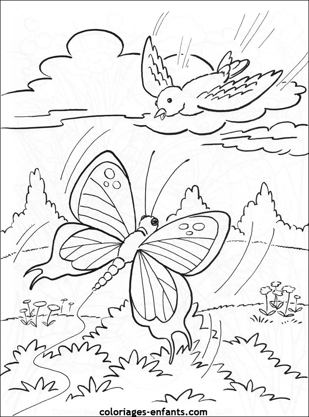 coloriage de papillons sur coloriages-enfants.com