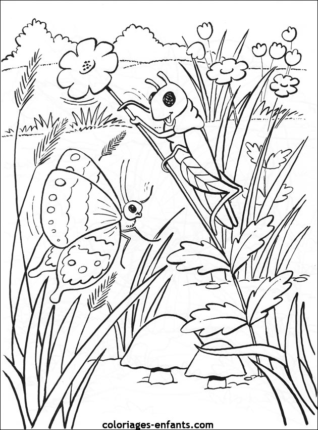 coloriage de papillons sur coloriages-enfants.com