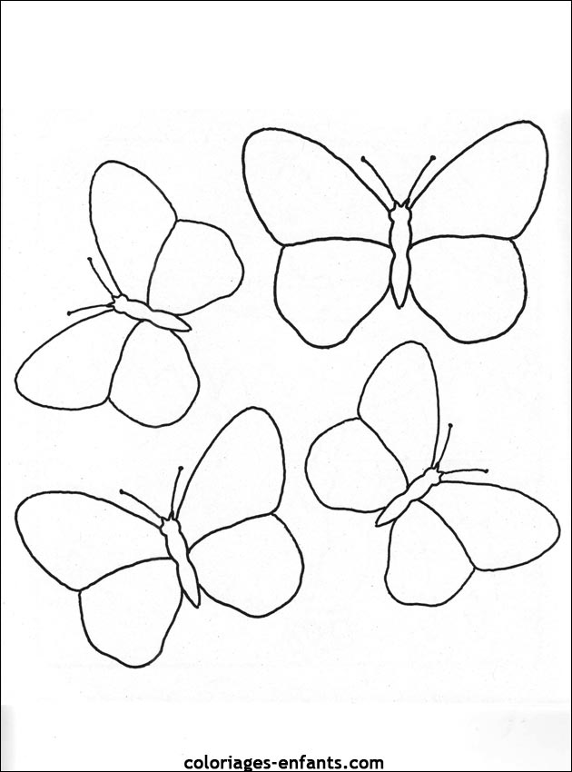 coloriage de papillons sur coloriages-enfants.com