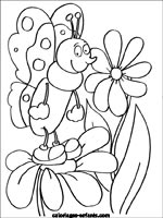 Coloriages de papillons