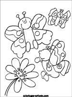 Coloriages de papillons