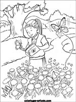 Coloriages de papillons