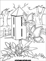 Coloriages de papillons