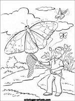 Coloriages de papillons