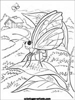 Coloriages de papillons