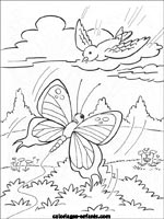 Coloriages de papillons