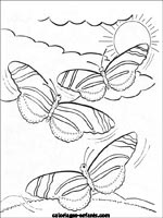 Coloriages de papillons