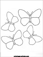 Coloriages de papillons