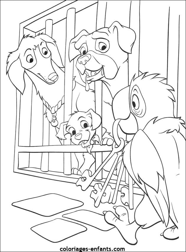 coloriage de perroquet sur coloriages-enfants.com