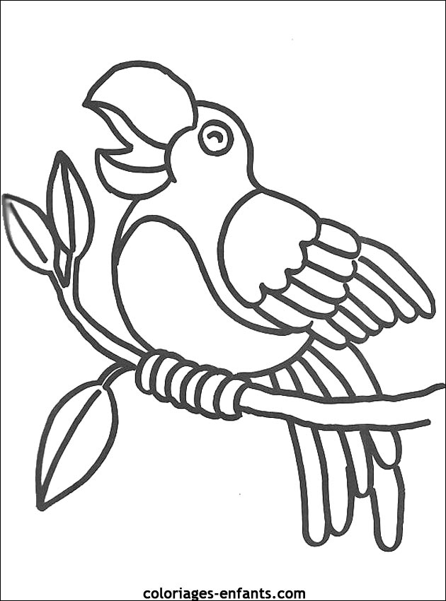 coloriage de perroquet sur coloriages-enfants.com