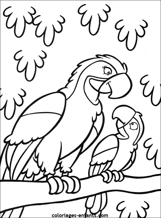 coloriage de perroquet sur coloriages-enfants.com