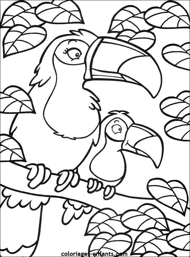 coloriage de perroquet sur coloriages-enfants.com