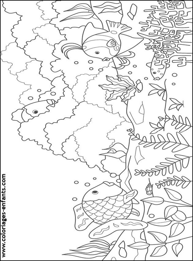 coloriage de poisson - dessin d'animaux  imprimer pour enfant