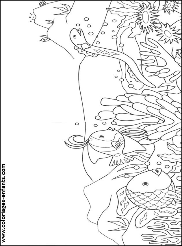 coloriage de poisson - dessin d'animaux  imprimer pour enfant