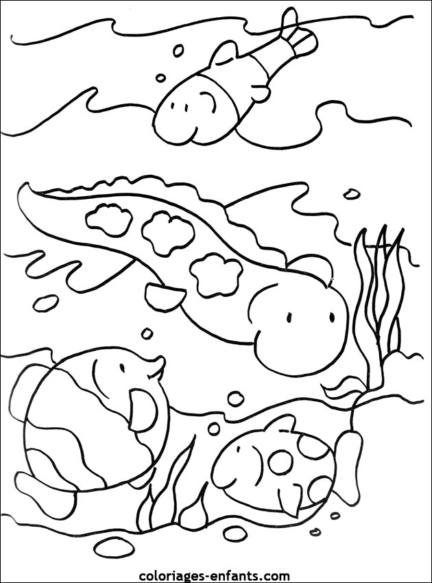 coloriage de poisson - dessin d'animaux  imprimer pour enfant