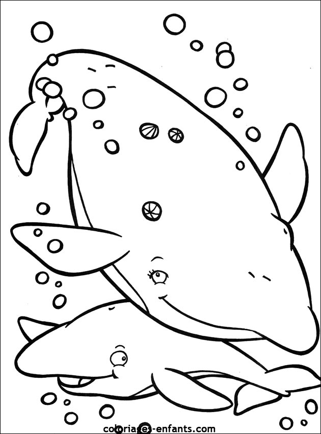 coloriage de poisson - dessin d'animaux  imprimer pour enfant