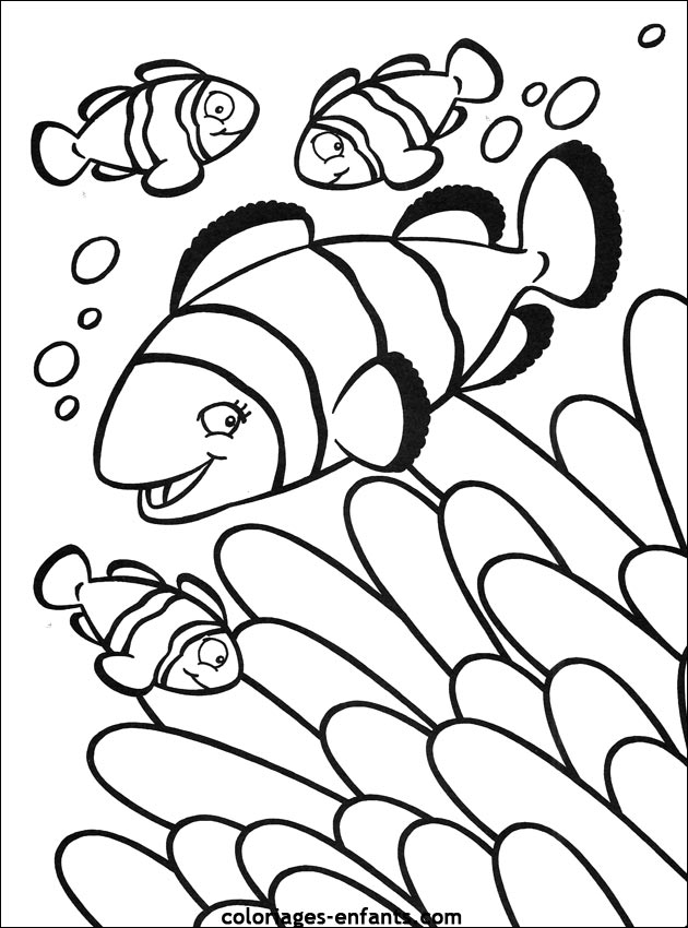 coloriage de poisson - dessin d'animaux  imprimer pour enfant