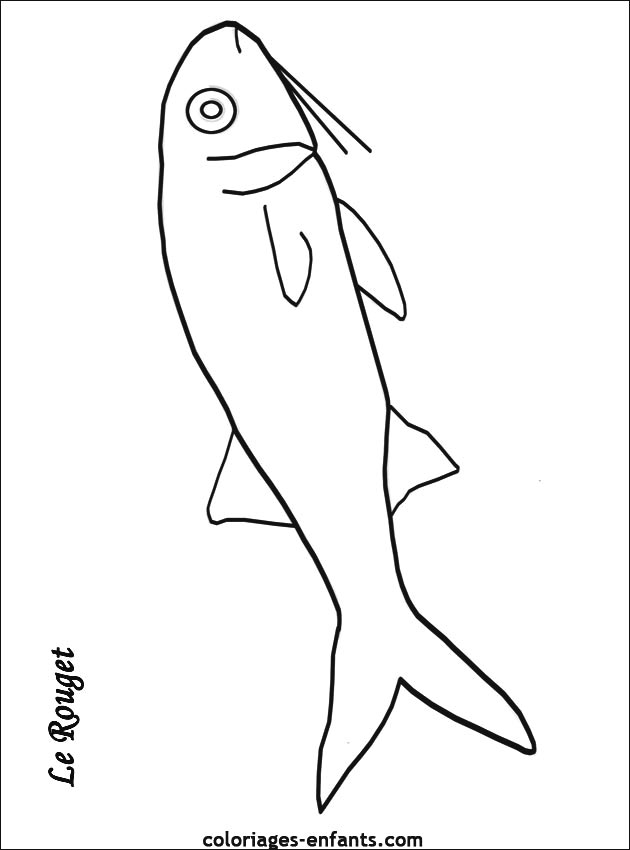 coloriage de poisson - dessin d'animaux  imprimer pour enfant