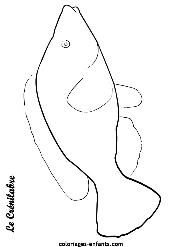 coloriage de poisson - dessin d'animaux  imprimer pour enfant