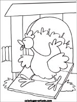 coloriage de poule