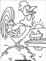 coloriage de coq