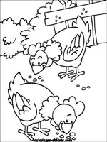 coloriages de poules