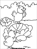 coloriage de poussin