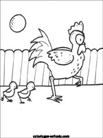 coloriage de la poule et ses poussins