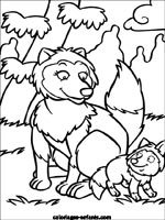 Coloriages de renards