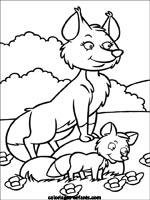 Coloriages de renards