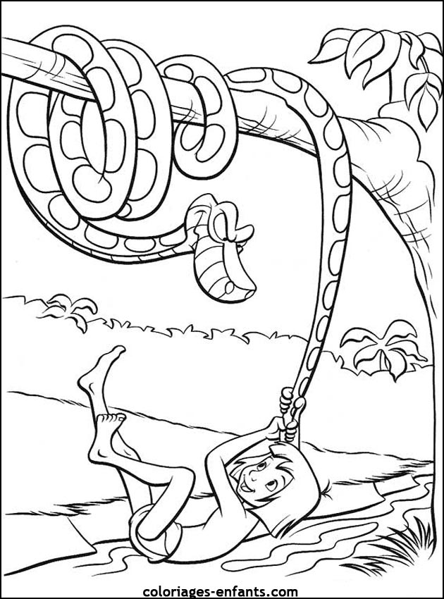 coloriage de serpent sur coloriages-enfants.com