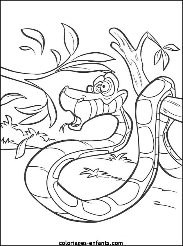 coloriage de serpent sur coloriages-enfants.com