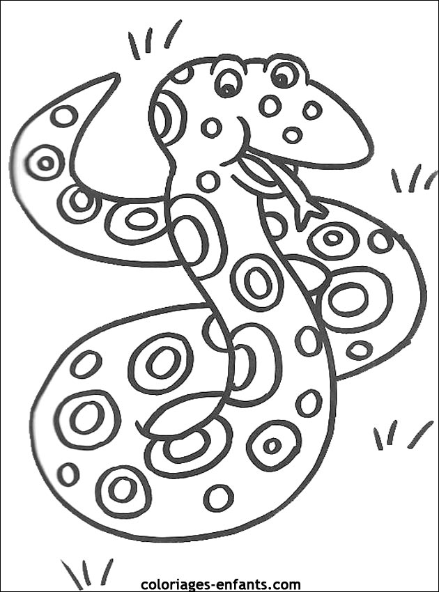 coloriage de serpent sur coloriages-enfants.com