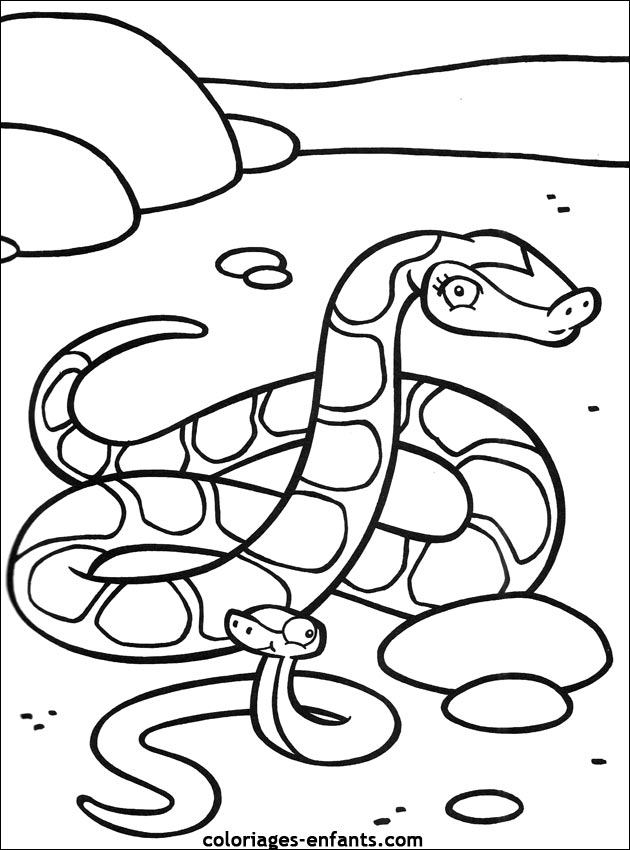 coloriage de serpent sur coloriages-enfants.com