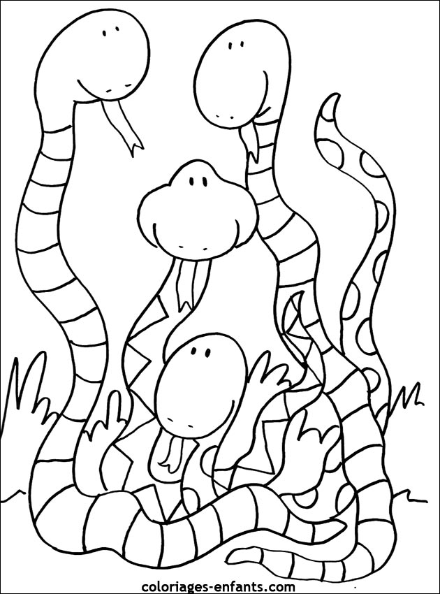 coloriage de serpent sur coloriages-enfants.com