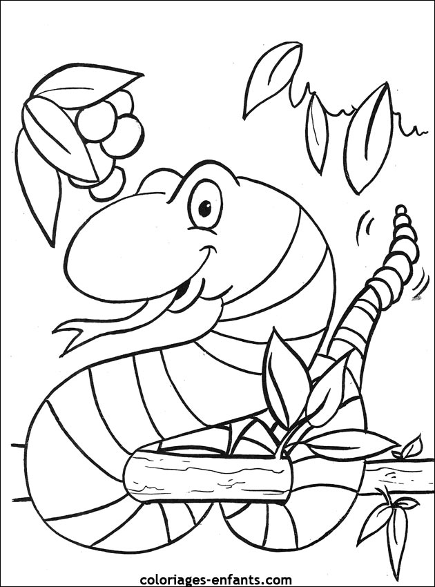 coloriage de serpent sur coloriages-enfants.com
