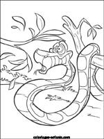 Coloriages de serpents