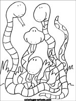 Coloriages de serpents