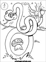 Coloriages de serpents