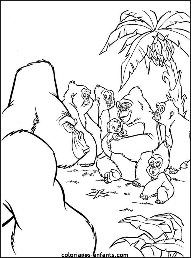 coloriage de singe