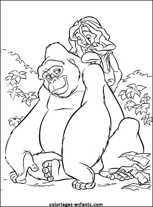 coloriage de singe