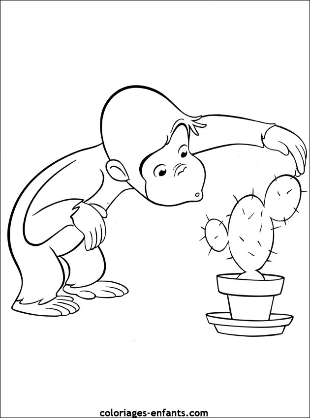 coloriage de singe