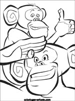 Coloriages de singes